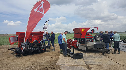 Demo-veld 2de jaars plantuien